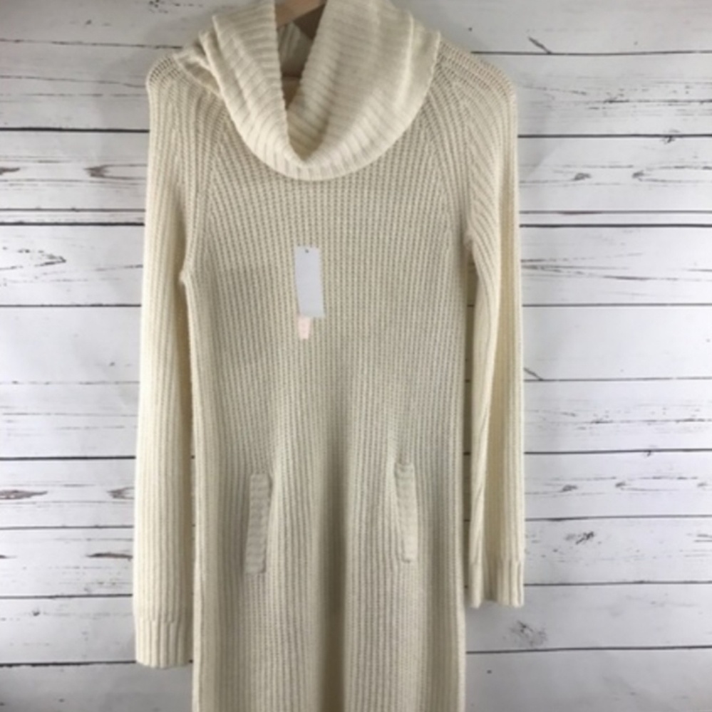 Philosophy Republic Clothing Turtleneck dress